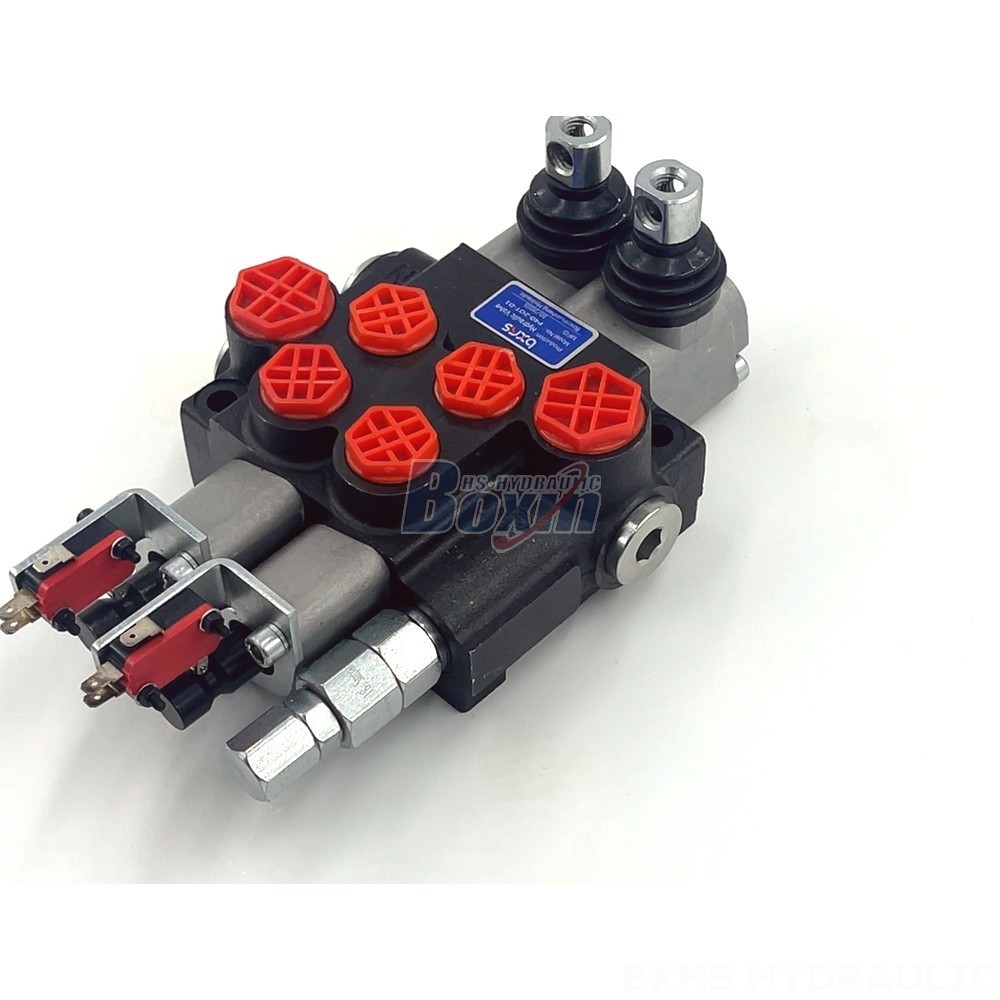 2 Spool Monoblock Directional Valve - P40: Factory Supply & Tailored Solutions detail image